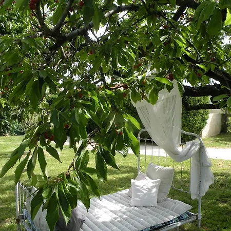 Bed & Breakfast Maison D'anvers
