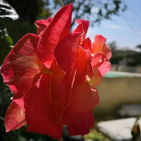 Bed & Breakfast Maison D'anvers *
